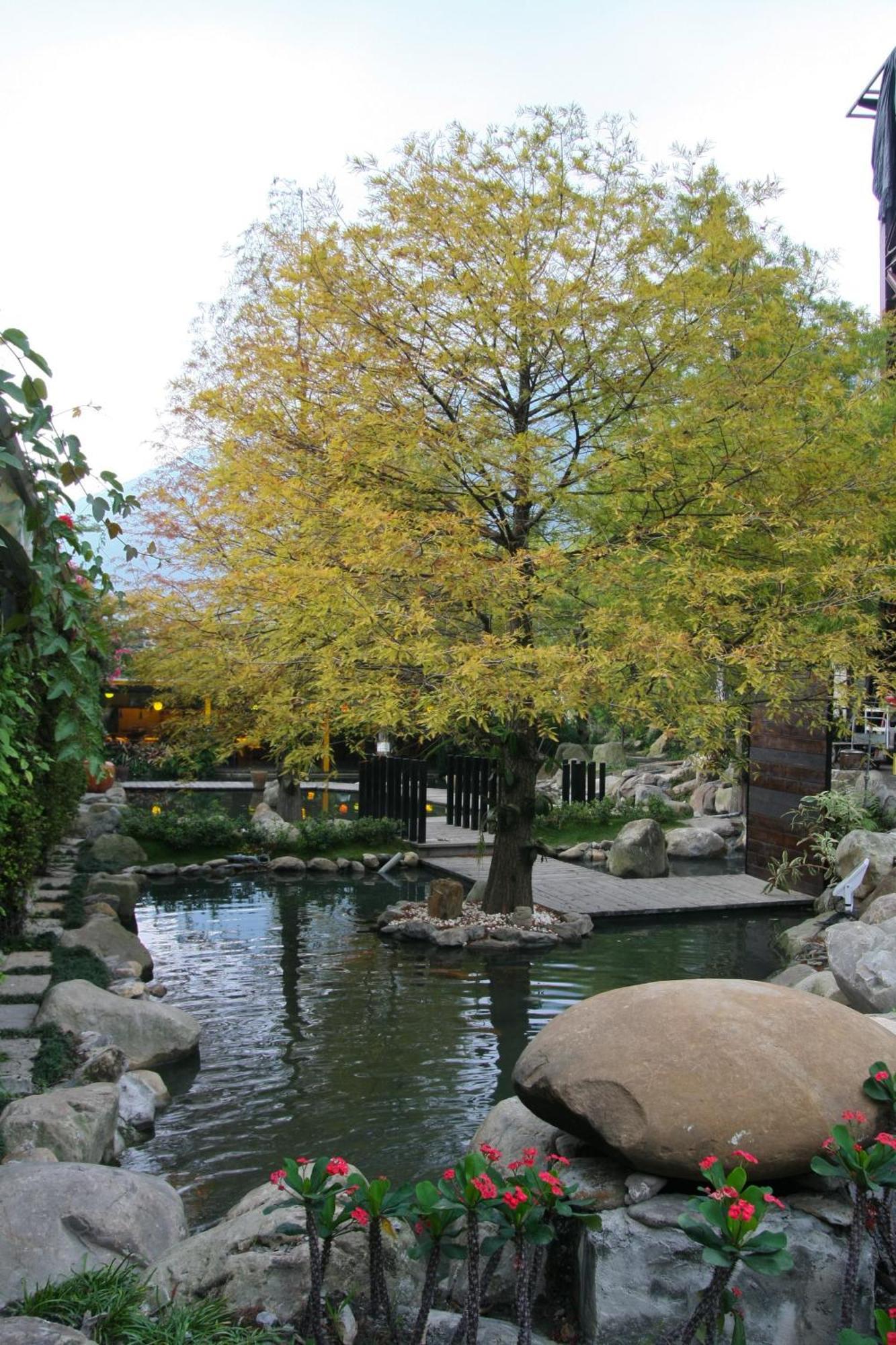 Tai-Yi Red Maple Resort Puli Exteriör bild